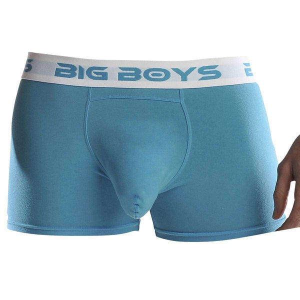 Big Boys Blue Boxer Briefs