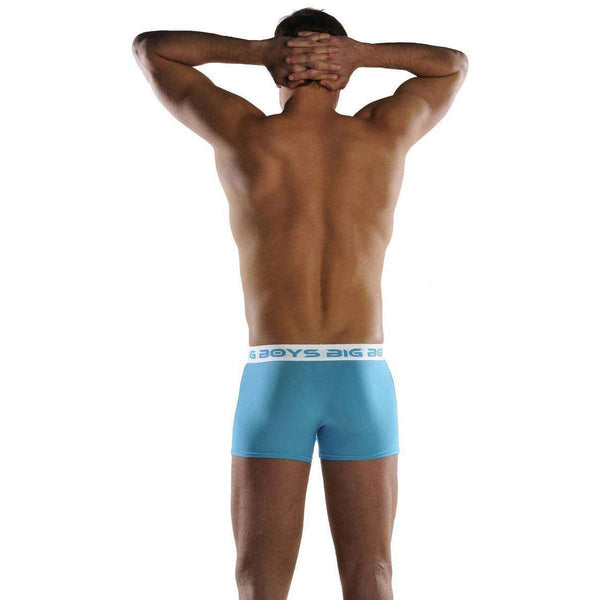 Big Boys Blue Boxer Briefs