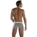 Big Boys Grey Boxer Briefs