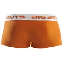 Big Boys Orange Low Rise Briefs