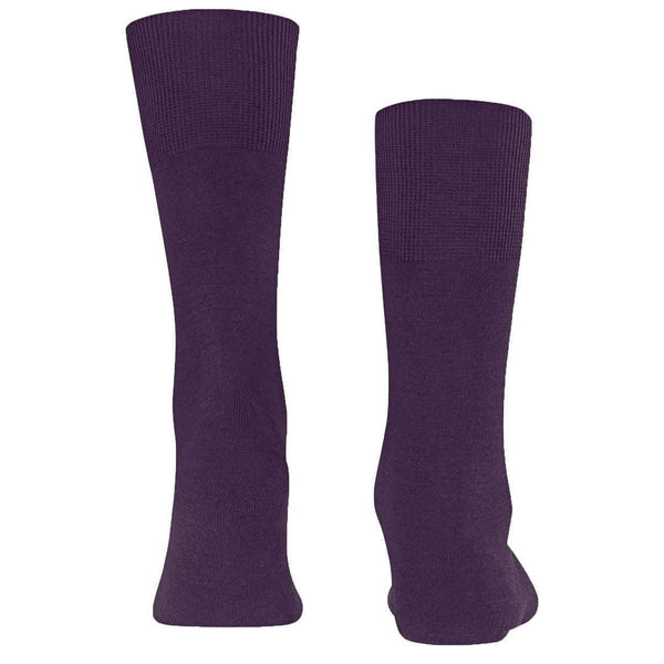 Falke Purple Airport Socks