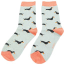 miss-sparrow-london-blue-3-pack-little-sausage-dogs-sock-box-34596265