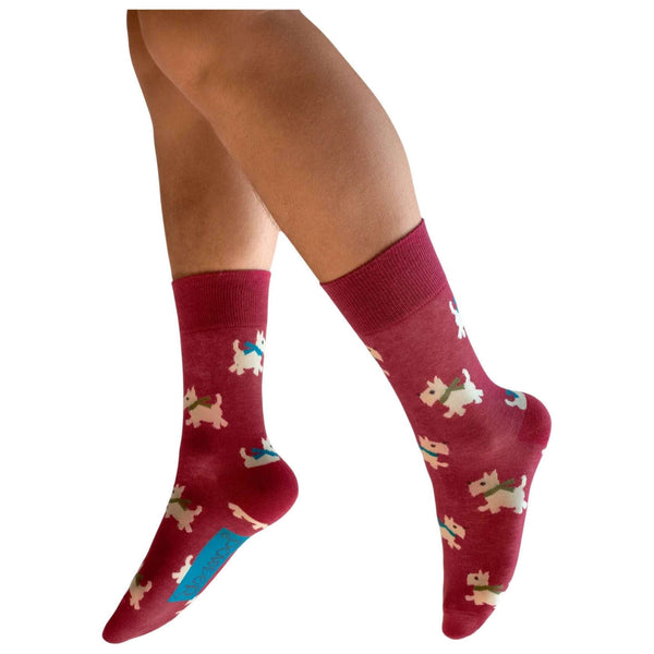 Powder Red Woolly Westie Socks