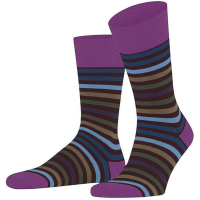 falke-purple-tinted-stripe-socks-34434522