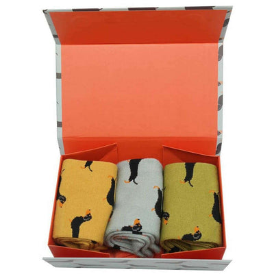 miss-sparrow-london-blue-3-pack-little-sausage-dogs-sock-box-34596267