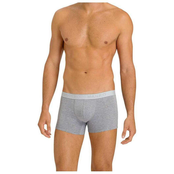 hanro-grey-cotton-essentials-2-pack-pants-35927749