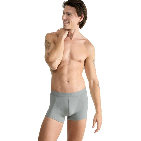 sloggi-grey-ever-ease-2-pack-hipster-brief-34491734