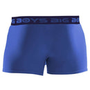 Big Boys Blue Boxer Briefs
