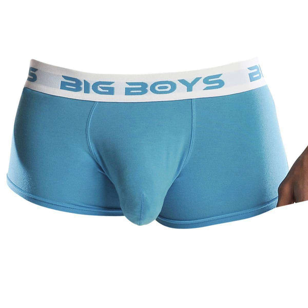 Big Boys Blue Low Rise Briefs