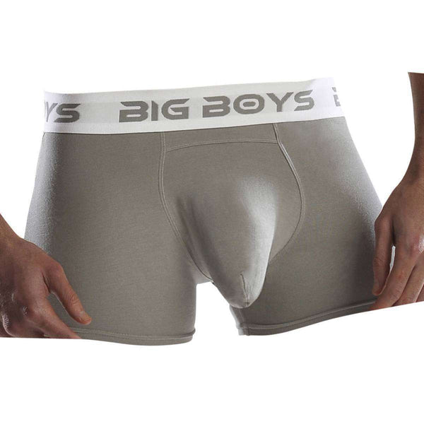 Big Boys Grey Boxer Briefs