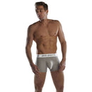 Big Boys Grey Boxer Briefs