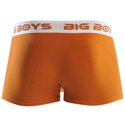 Big Boys Orange Boxer Briefs