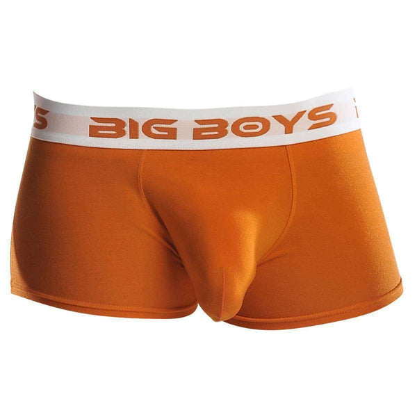 Big Boys Orange Low Rise Briefs