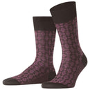 Falke Brown Artwork Tie Socks