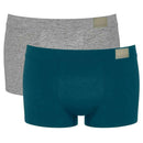 sloggi-grey-go-natural-2-pack-hipster-brief-34491984