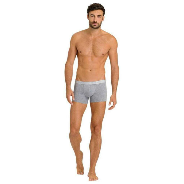 hanro-grey-cotton-essentials-2-pack-pants-35927754