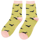 miss-sparrow-london-blue-3-pack-little-sausage-dogs-sock-box-34596266