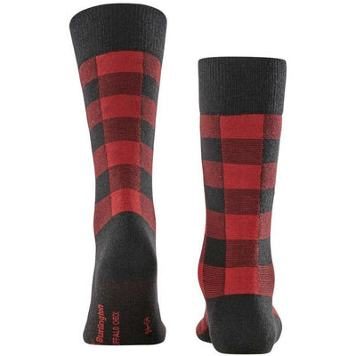 Burlington Black Buffalo Check Socks