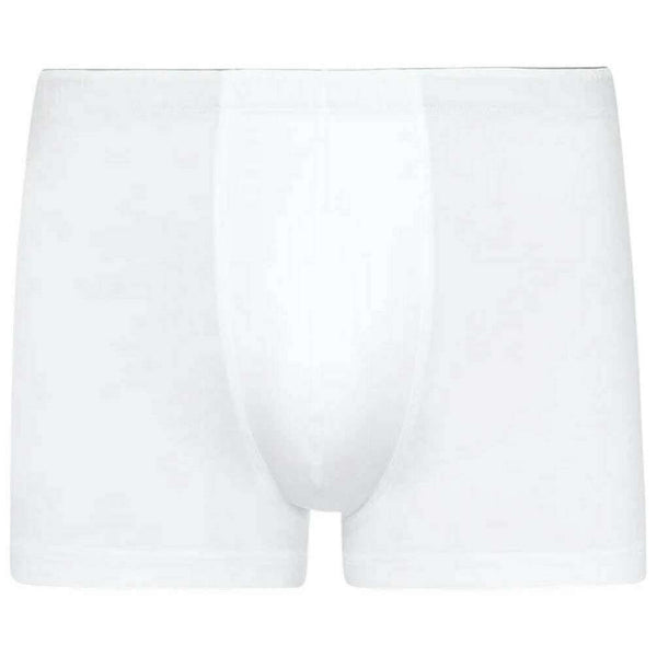 hanro-white-cotton-superior-pants-35927661