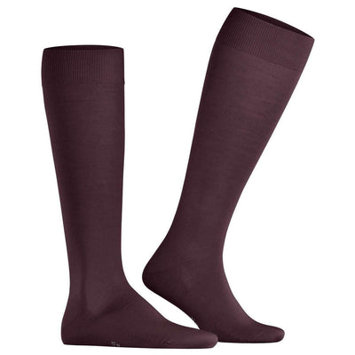 Falke Burgundy Climawool Knee High Socks