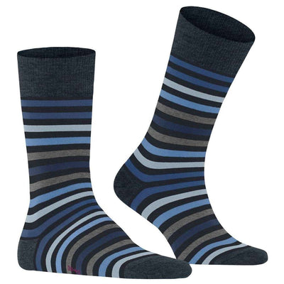Falke Navy Tinted Stripe Socks