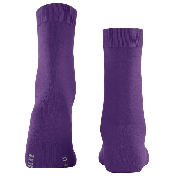 Falke Purple Climawool Sock