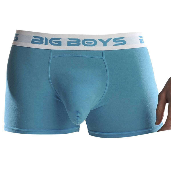 Big Boys Blue Boxer Briefs 