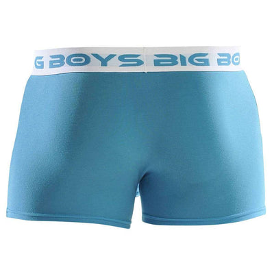 Big Boys Blue Boxer Briefs 