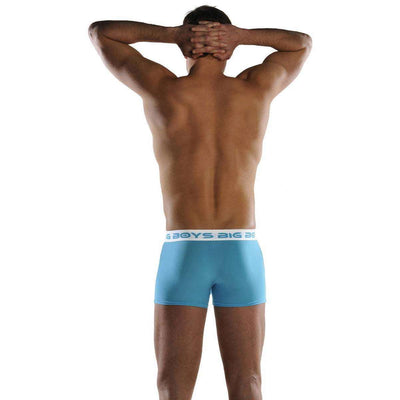 Big Boys Blue Boxer Briefs 