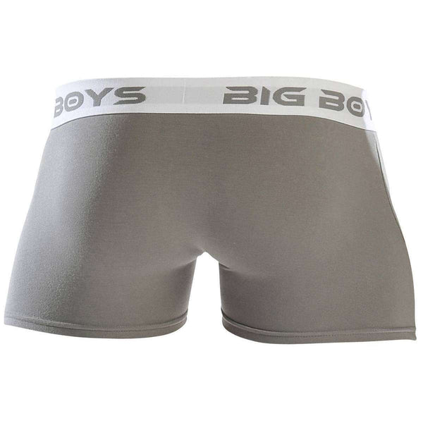 Big Boys Grey Boxer Briefs 