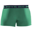 Big Boys Green Boxer Briefs 