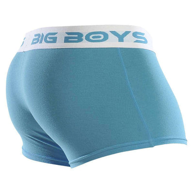 Big Boys Blue Low Rise Briefs 