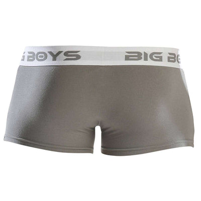 Big Boys Grey Low Rise Briefs 