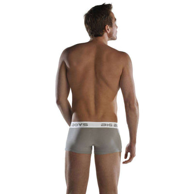 Big Boys Grey Low Rise Briefs 