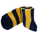 Bassin and Brown Navy Hooped Stripe Socks 