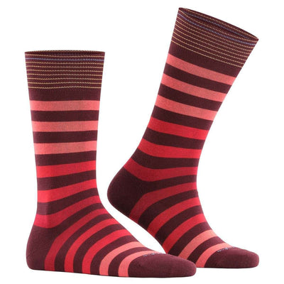 Burlington Pink Blackpool Socks