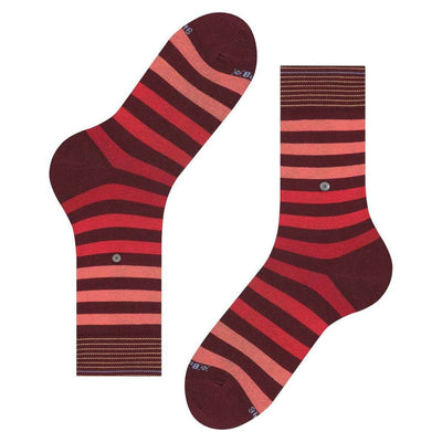 Burlington Pink Blackpool Socks