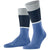 Falke Blue Unlimted Socks
