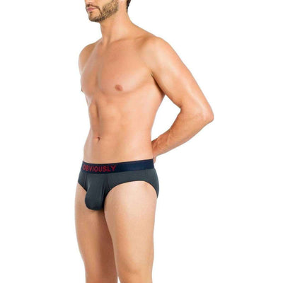 Obviously Grey FreeMan AnatoFREE Brief