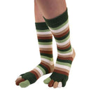 TOETOE Brown Essential Striped Mid Calf Socks
